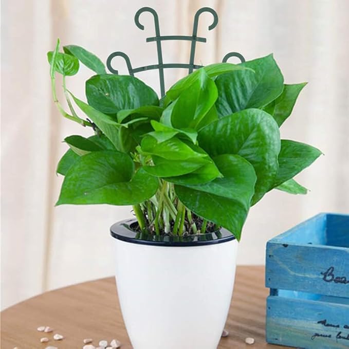 6PCS Trellis for Potted Plants, Stackable Indoor Plant Trellis for Climbing - Image 4