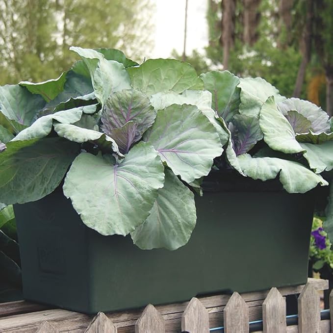 EarthBox 80151 Garden Kit - Image 9