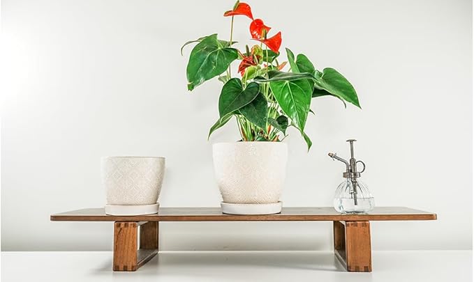 Docrin Ceramic Plant Pots Indoor, 6.6 + 5.5 Inch Planters - Image 8