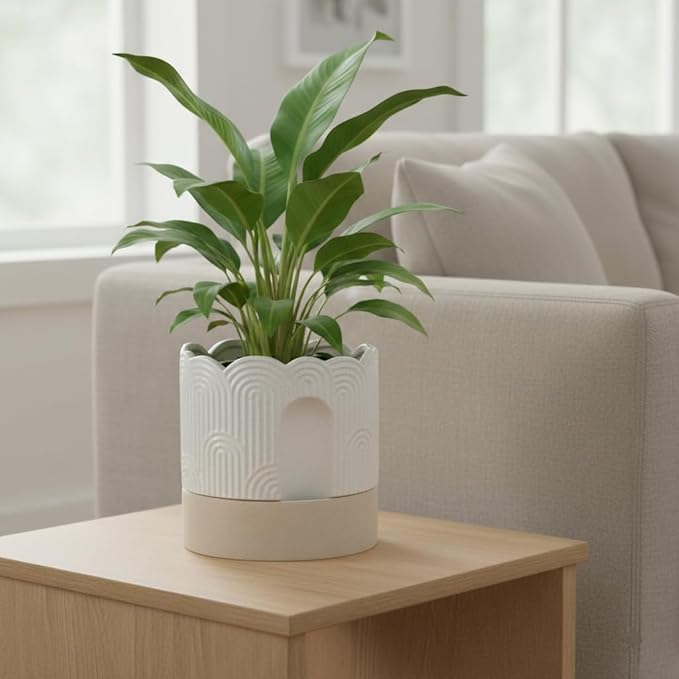 Nihow Self Watering Plant Pot for Indoor Plants - Image 5