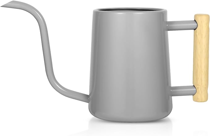 Watering Can Indoor Plants, 35 oz/1000 ml Metal Stainless Steel Watering Can Pot by Unknown
