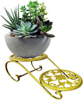 plant stand by Unknown