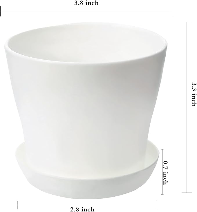 TDHDIKE 10 Pcs Plastic Planters Indoor Flower Plant Pots, Mini Flower Seedlings - Image 2