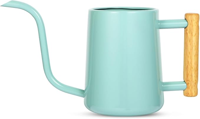 Watering Can Indoor Plants, 35 oz/1000 ml Metal Stainless Steel Watering Can Pot by Unknown