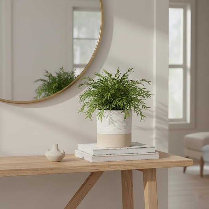 Nihow Self Watering Plant Pot: 6 Inch Ceramic Planter - Image 4