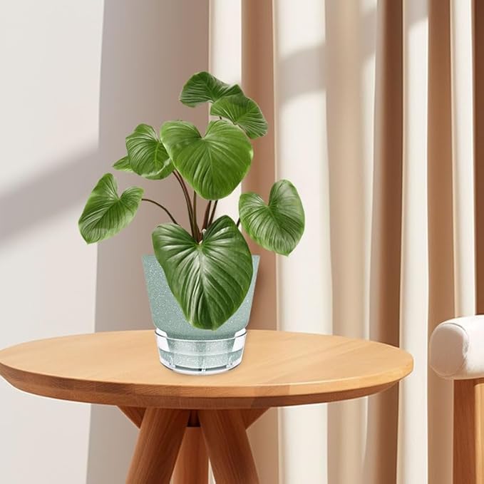 Green Self Watering Plant Pots - Image 9