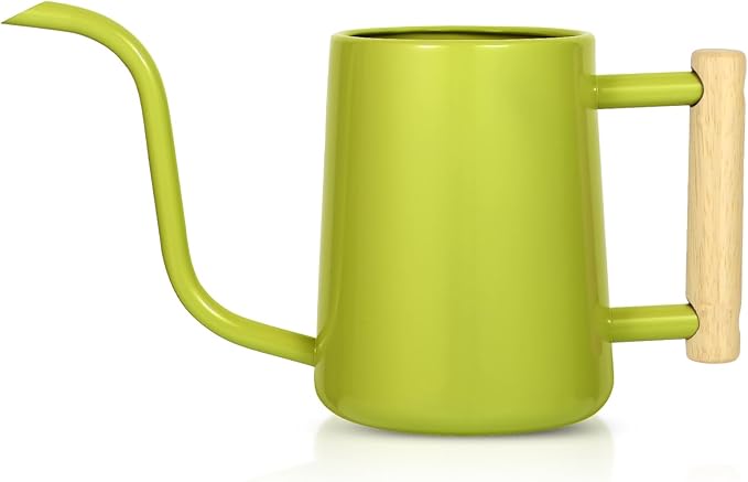 Watering Can Indoor Plants, 35 oz/1000 ml Metal Stainless Steel Watering Can Pot by Unknown