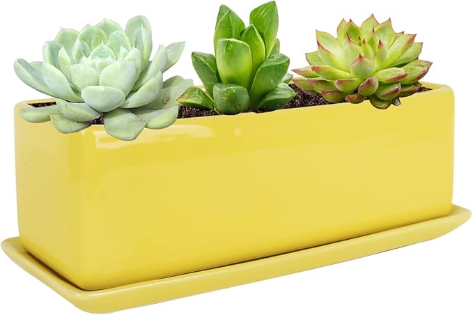 Vencer 12 Inch Rectangular Modern Minimalist Ceramic Succulent Planter Pot by Vencer