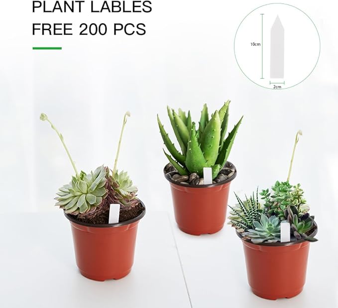 JERIA 200 Pack 6 Inch Plastic Nursery Pots Comewith Drainage Holes, Seedling - Image 3