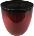 Gardener Select Large Egg Shaped Planter by GardenerSelect