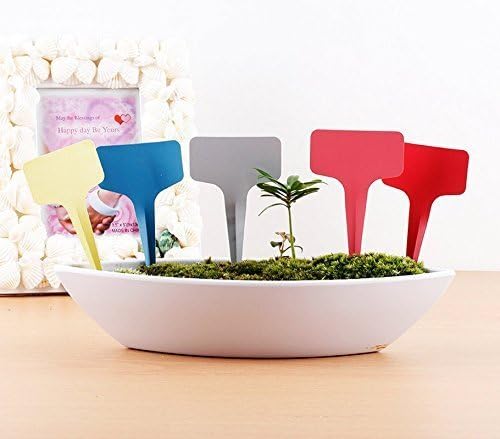 KINGLAKE Plant Labels, 5 Colors - Image 6