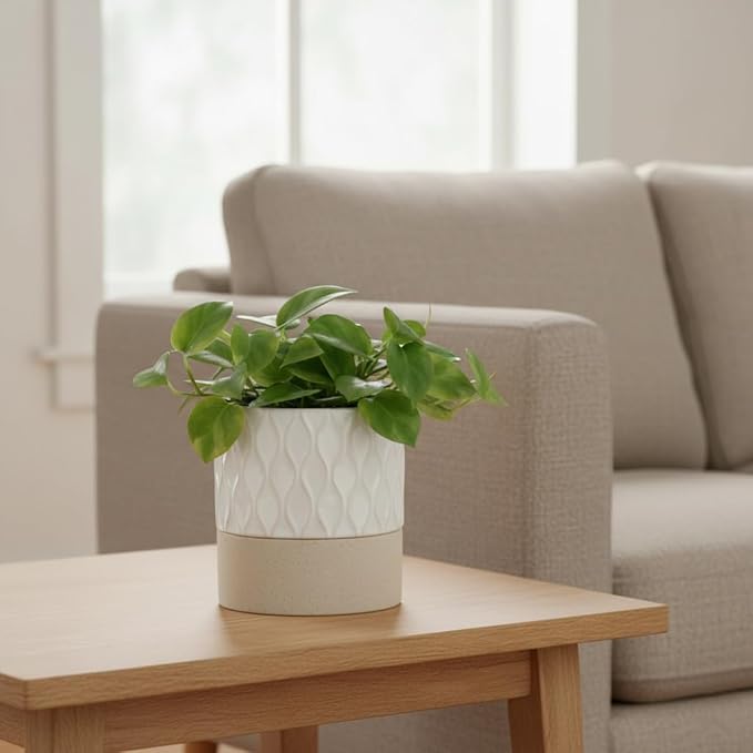 Nihow Self Watering Plant Pot: 4.5 Inch Ceramic Planter - Image 5
