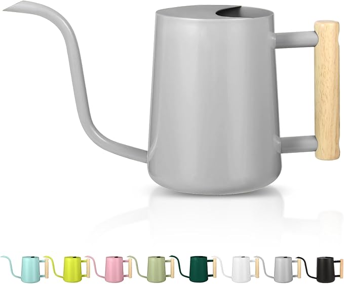 Watering Can Indoor Plants, 35oz Small Indoor Stainless Steel Metal Watering by GUKJOB