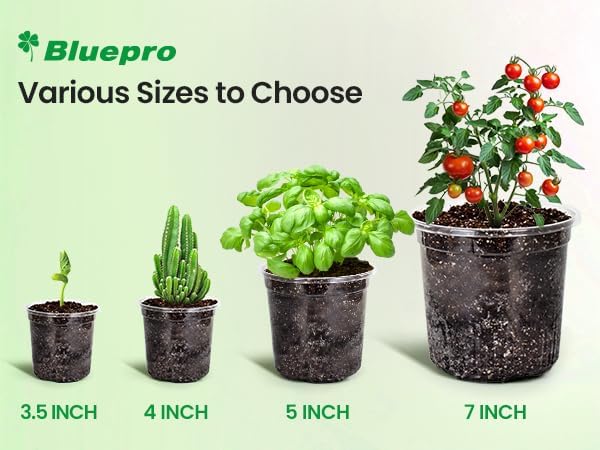 30 Packs 7/5/4 Inch Reinforced Clear Nursery Pots - Image 6