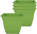 The HC Companies 6 Inch Eclipse Square Planter Pots w/Drainage Holes & Attached by TheHCCompanies