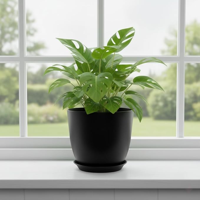 Plant Pots 8 Inch Set of 6, Flower Pots - Image 6