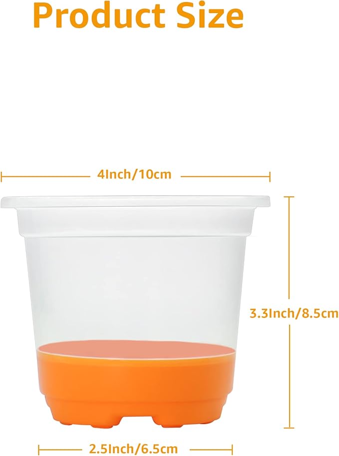 MIXC Thickened Clear Nursery Pots - Image 2