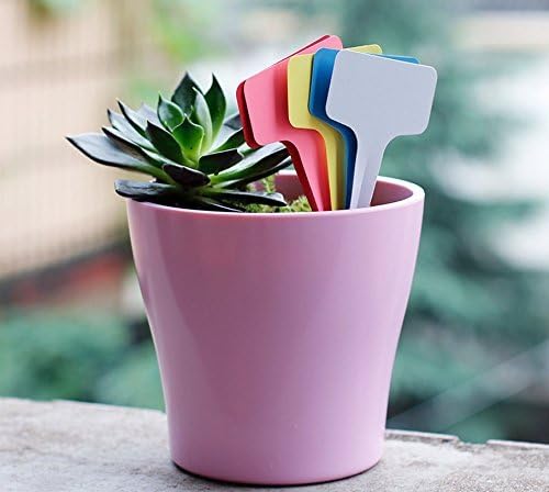 KINGLAKE Plant Labels, 5 Colors - Image 5