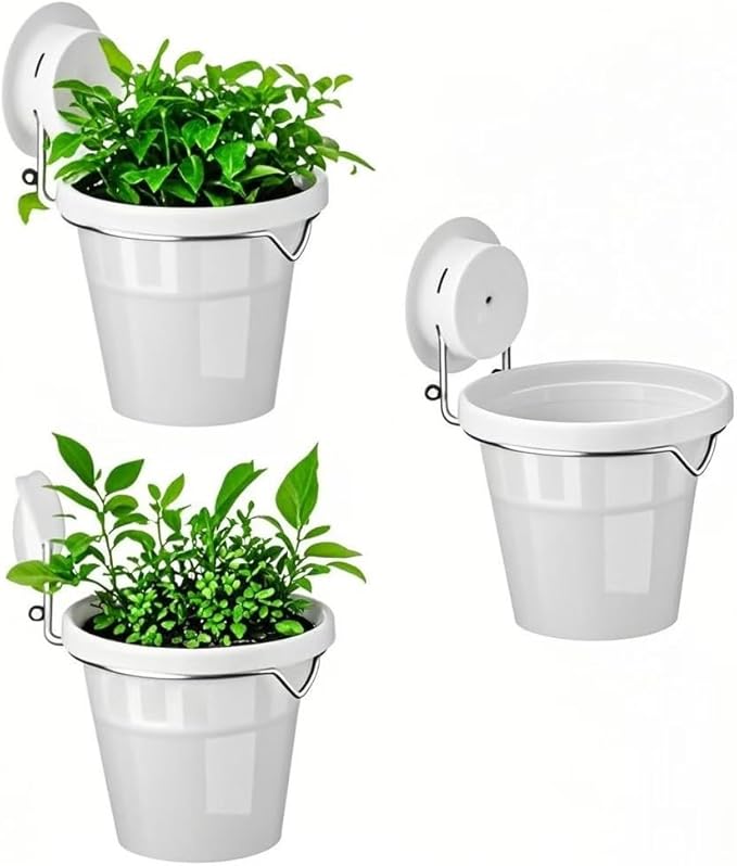 Set of 3 Plastic Window Planter by Unknown