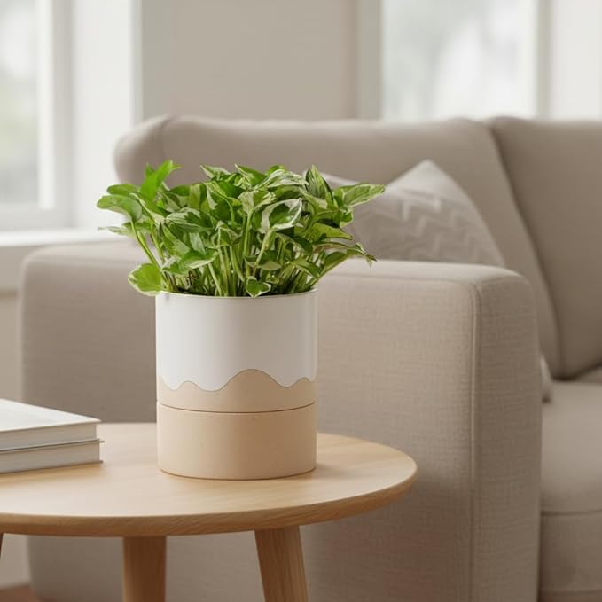 Nihow Self Watering Plant Pot: 6 Inch Ceramic Planter - Image 7