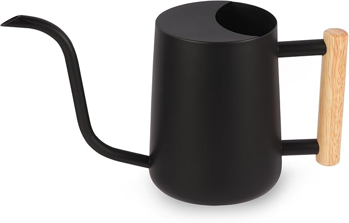 Plant Watering Can, 35oz Metal Watering Can, Stainless Steel Indoor Plants - Image 8