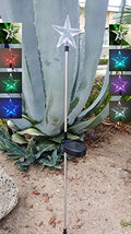 Solar Garden Stake Lights with Color Changing LED or Regular White LED by Ntertainment+House
