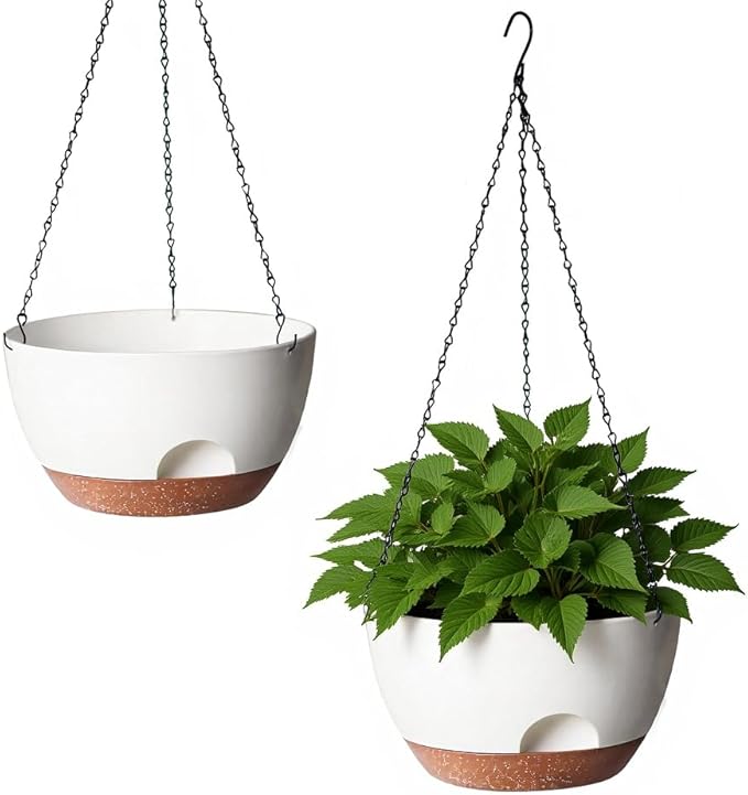 Hanging Planter for Indoor Plants, 10 Inch Self-Watering Hanging Planters by LesOasis