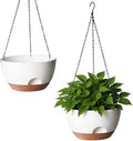 Hanging Planter for Indoor Plants, 10 Inch Self-Watering Hanging Planters by LesOasis