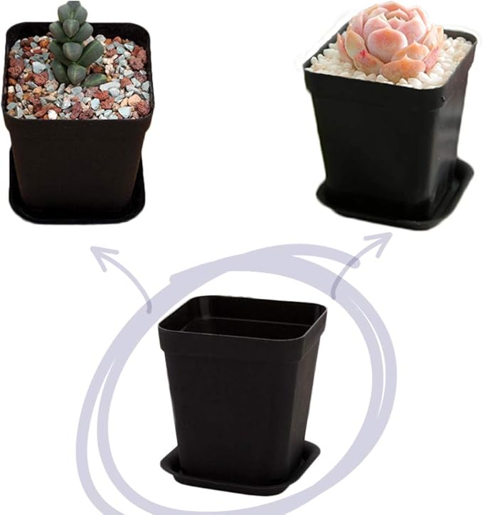OJYUDD 24 Pack 3 Inch Black Nursery Pot Flower Pots Square Plastic Plant Pot - Image 6