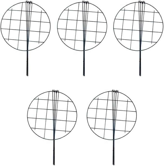 MTB Supply 5 Pack 16 x 24 inch Peony Cages, Grow Through Plant Support Stakes - Image 3