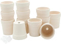 4E's Novelty Ceramic Flower Pots by 4EsNovelty