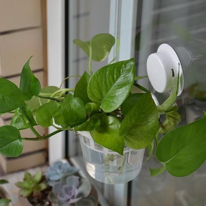 Set of 3 Plastic Window Planter - Image 2