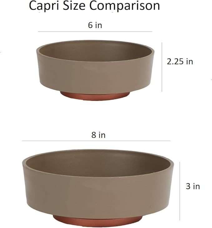 The HC Companies 6 Inch Round Plastic Succulent Capri Bowl Decorative Indoor - Image 6