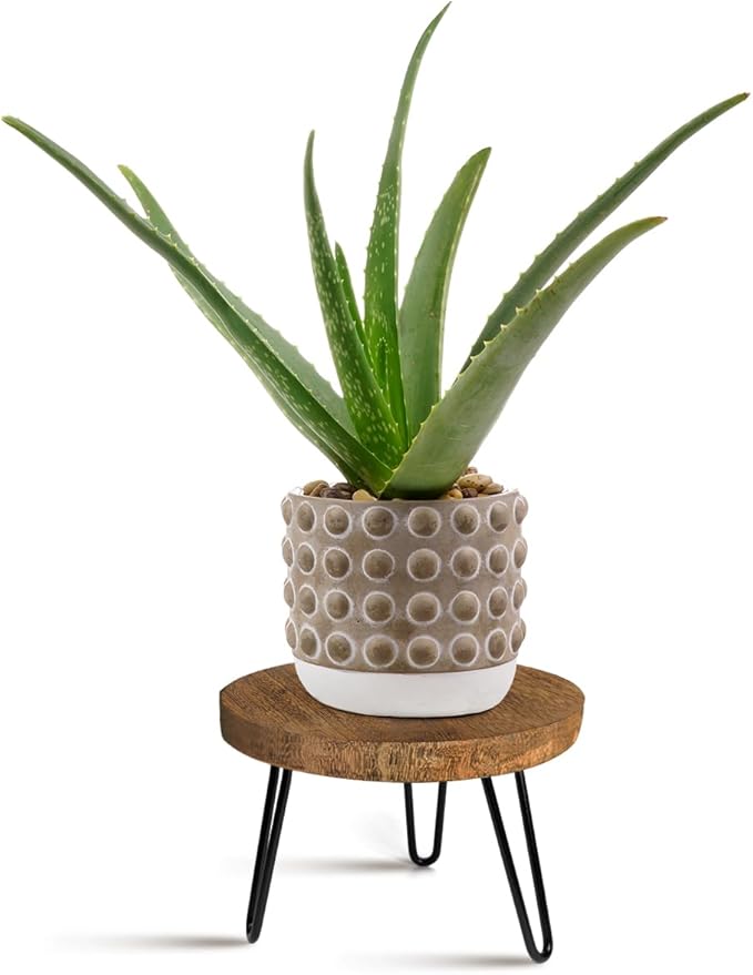 Plant Stand Indoor Outdoor, Wooden plant Stool, Mid Century Plant Stand by Welcometoobtain