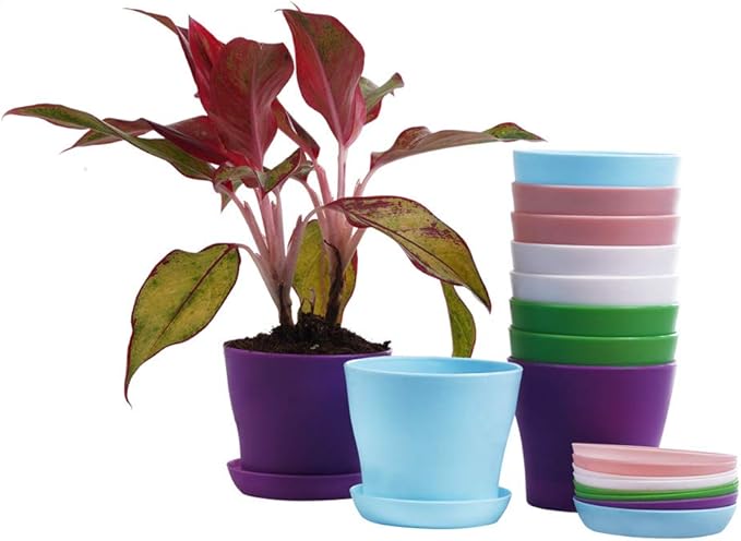 TDHDIKE 10 Pcs Plastic Planters Indoor Pots, Mini Flower Seedlings Nursery - Image 6