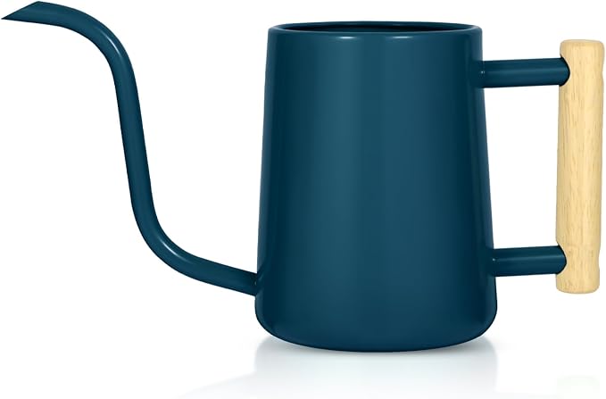 Watering Can Indoor Plants, 35 oz/1000 ml Metal Stainless Steel Watering Can Pot by Unknown