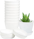 TDHDIKE 10 Pcs Plastic Planters Indoor Flower Plant Pots, Mini Flower Seedlings by TDHDIKE