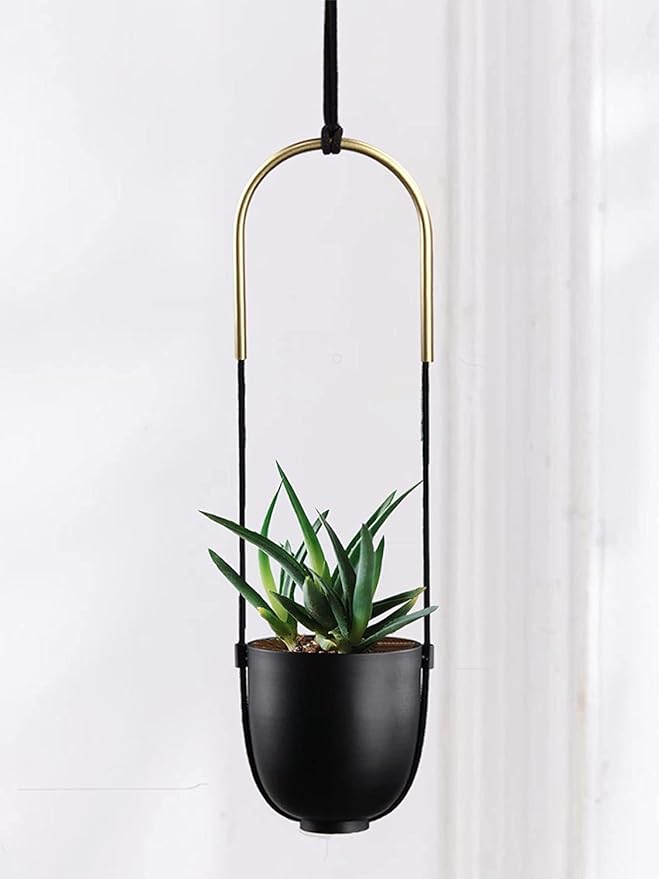 Metal Hanging Planter for Indoor Outdoor Plants Wall and Ceiling Hanging Flower by ABETREE