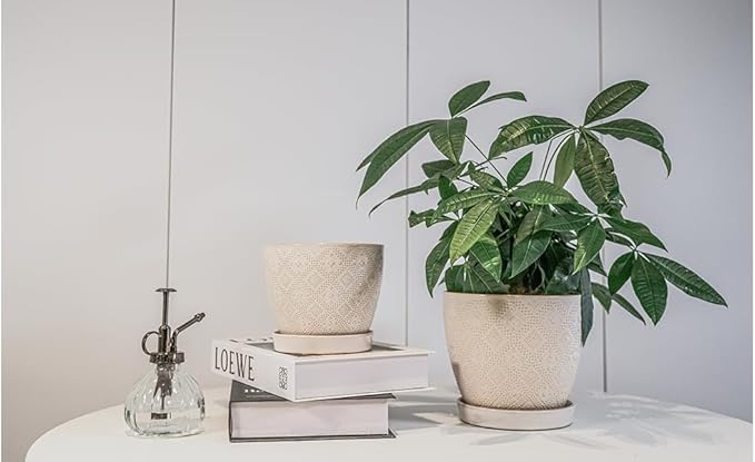 Docrin Ceramic Plant Pots Indoor, 6.6 + 5.5 Inch Planters - Image 7