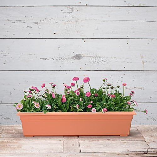 Root & Vessel 16305 Countryside Planter, Terracotta - Image 3