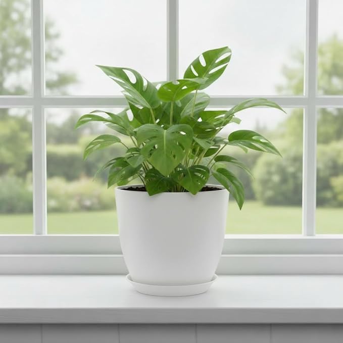 Plant Pots 8 Inch Set of 6, Flower Pots - Image 6
