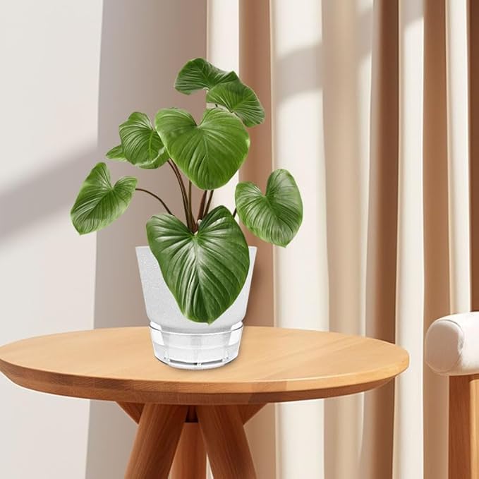 Plant Pots - 6" Orchid Pot, 5 Pack Orchid Pots - Self Watering Pots - Image 8