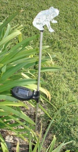 Solar Garden Stake Lights with Color Changing LED or Regular White LED by Ntertainment+House