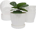 Flower Pots Outdoor Clearance 6 inch Set of 5 Succulent Planters by KAHEAUM