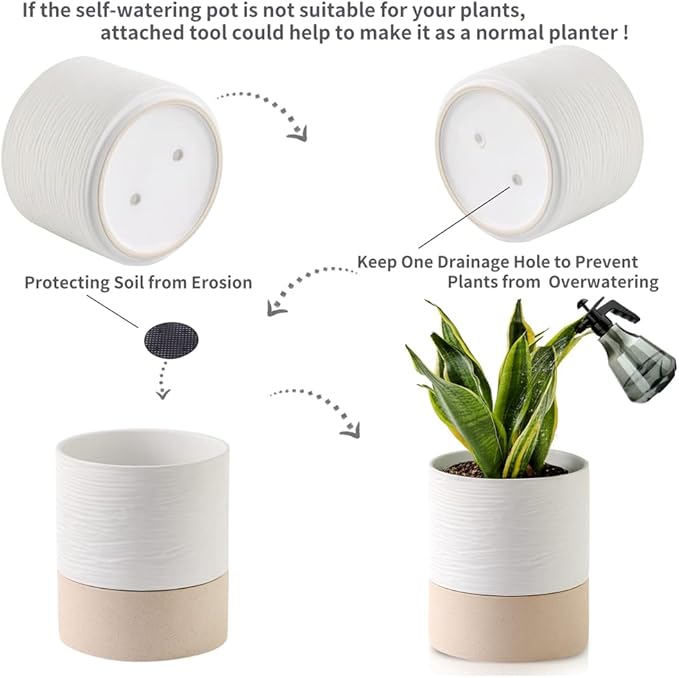 Nihow Self Watering Plant Pot: 6 Inch Ceramic Planter - Image 4