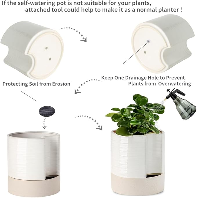 Nihow Self Watering Plant Pot: 8 Inch Ceramic Planter - Image 4