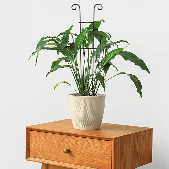 Coomin 23in Taller Plant Trellis - Image 9