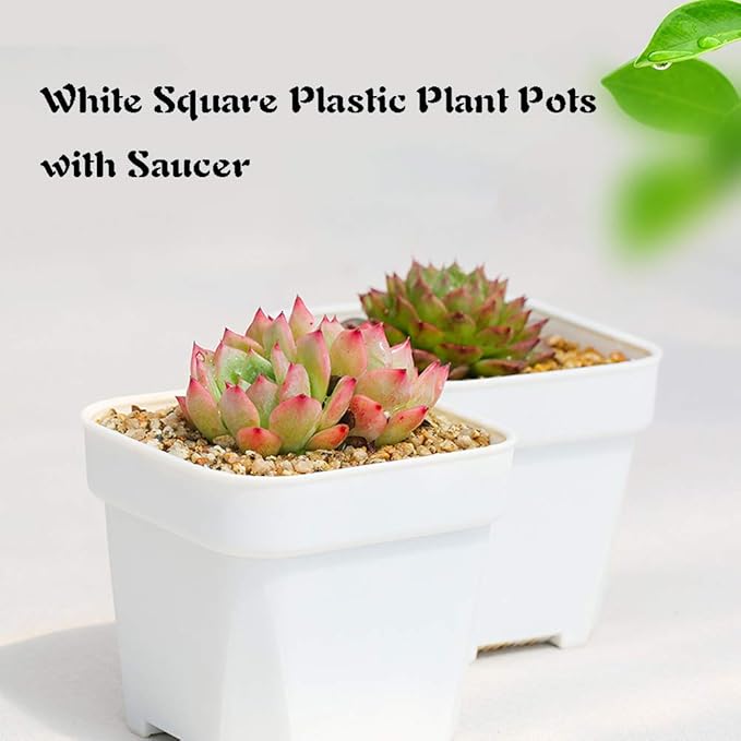 24 Pack 3 Inch White Square Plastic Plant Pots - Image 4