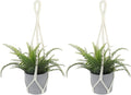 2 PCS Macrame Plant Hanger Indoor Hanging Plant Holder Hand-Woven Cotton Rope by Sliverdew