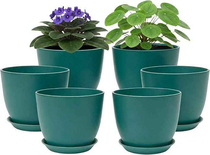 Plant Pots 8 Inch Set of 6, Flower Pots by Vanslogreen